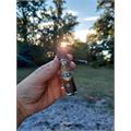 Firecracker Maduro 3 1/2 * 50