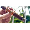 EP Carrillo Endure Toro 6  * 52