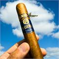 Plasencia Alma del Cielo Boreal 6 1/8 * 54