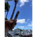 Deadwood Dominicana Toro 6  * 50