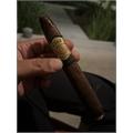 1502 XO Salomon 7  * 58