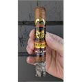 Partagas Y Nada Mas Robusto 5  * 50