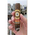 Perdomo Legacy Nicaraguan Shade-Grown Robusto 5  * 54