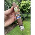 New World Decenio Robusto 5 1/2 * 54