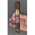 New World Decenio Robusto 5 1/2 * 54