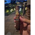 New World Decenio Robusto 5 1/2 * 54