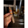 Cohiba Rubicon Box-Pressed Robusto 5 1/2 * 55