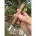 Crowned Heads Blood Medicine Limited Edition 2025 B Positive Toro 6  * 52