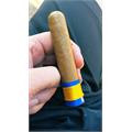RoMa Craft Maquette Steel Porcupine 4 1/2 * 56