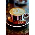 Arturo Fuente Fuente Opus X Forbidden X El Trece Magistral 13 6 7/8 * 56