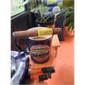 Blackbird Meadowlark Toro 6  * 52