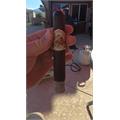 Flor de Las Antillas San Andres TAA 2025 Toro 6  * 54
