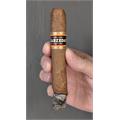 Sarzedas Robusto 5  * 50