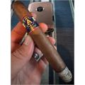 Aladino 250th Toro 6  * 52