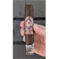 El Titan de Bronze Nicaragua Robusto 5  * 54