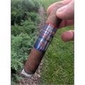 Joya Red White and Blue 6  * 52