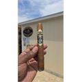 Warped Isla Del Cocodrilo Toro Grande Limited Edition 6 1/2 * 54