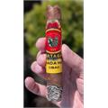 Partagas Y Nada Mas Cibao Robusto 5  * 50