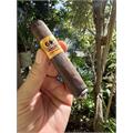 La Bomba Warhead XII 6 1/2 * 58