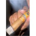 Rojas Street Tacos Carnitas Robusto 5  * 50