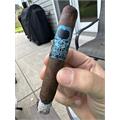 Asylum 13 Signature Series Robusto 5  * 50