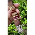 Casa Carrillo Ascend Saddle 5  * 50