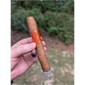 Micallef Orange Toro 6  * 52