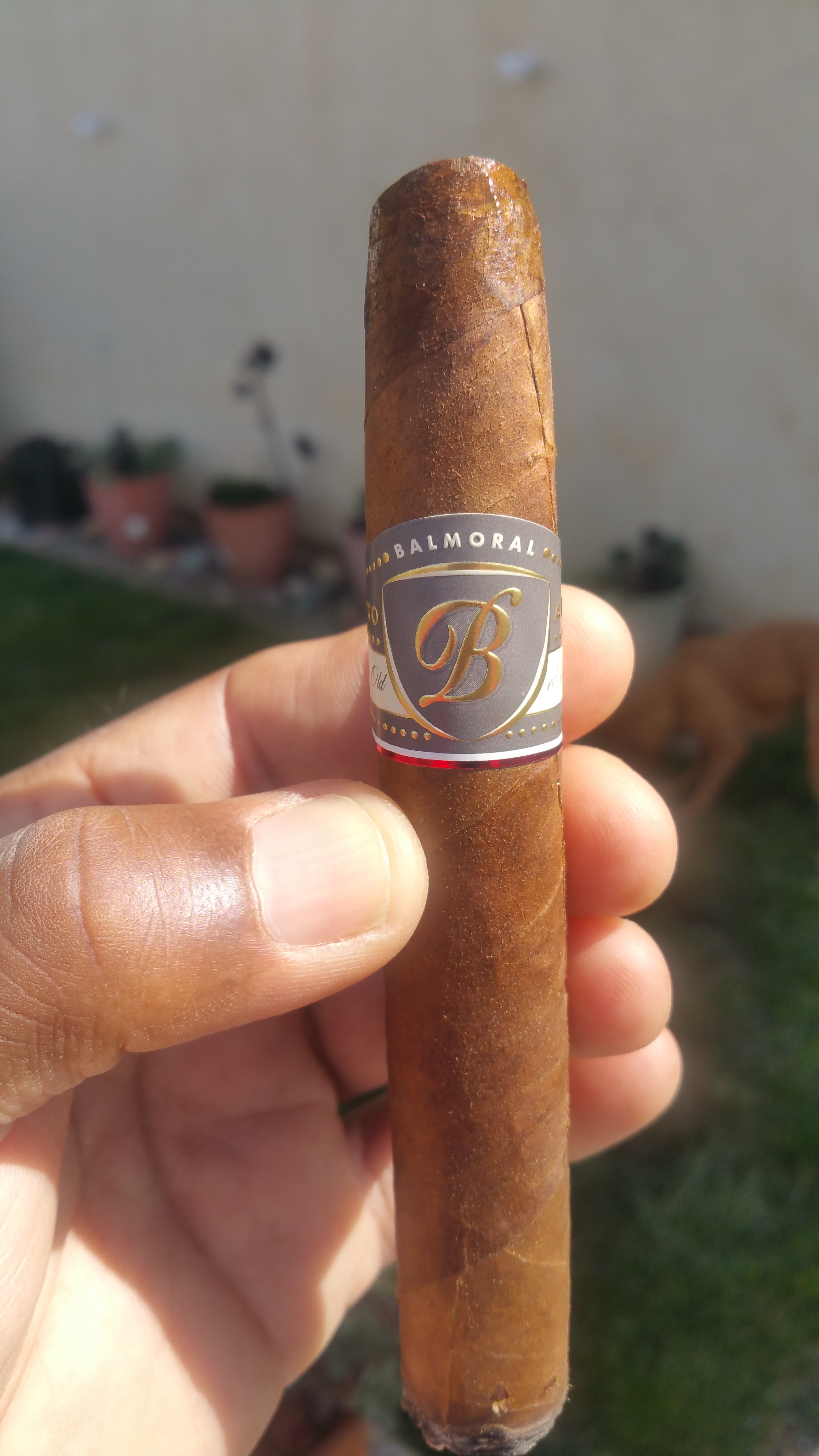 Balmoral Anejo XO Torpedo Mk52 6