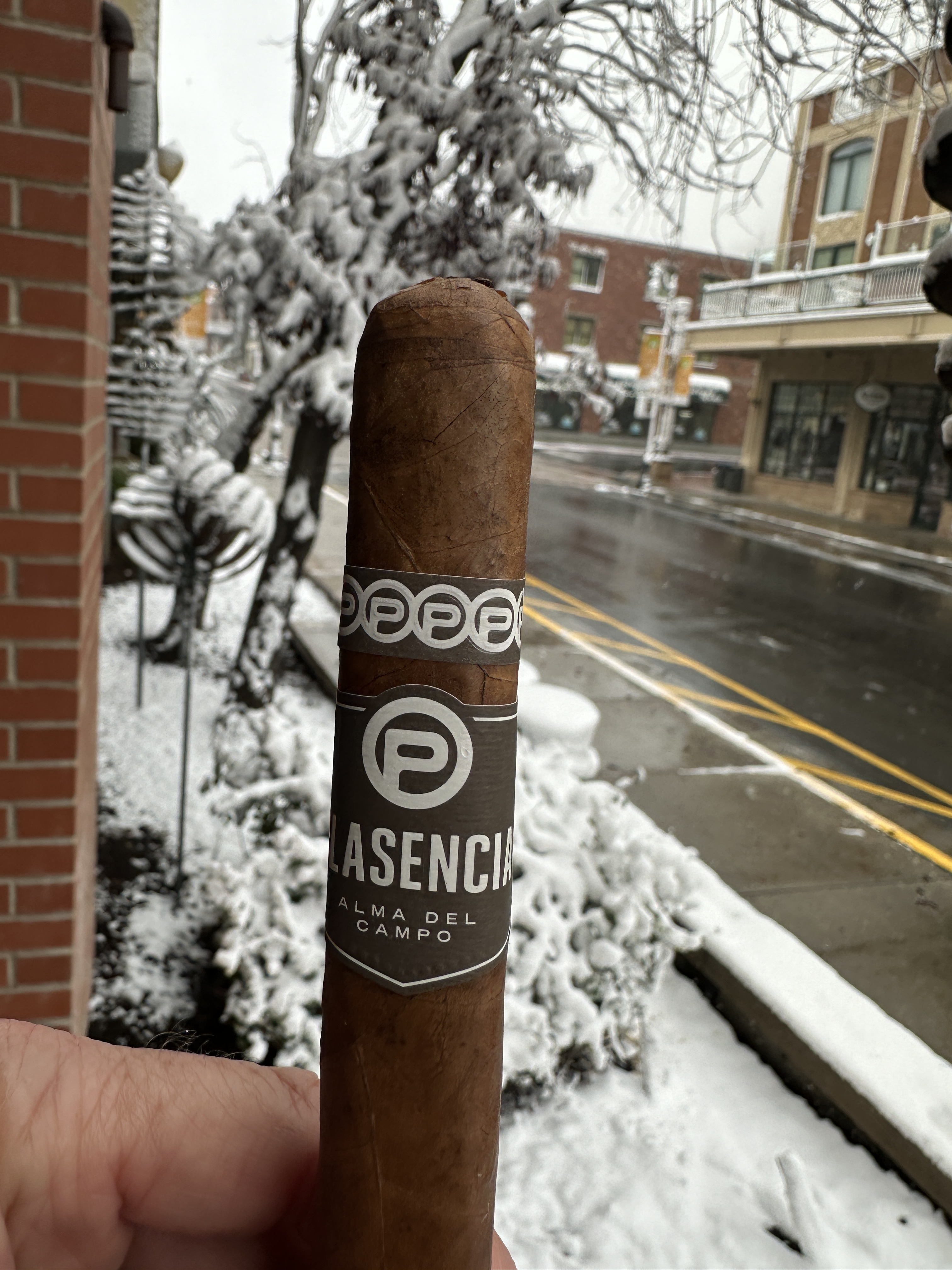 Plasencia Alma Fuerte Sixto II Hexagon 6