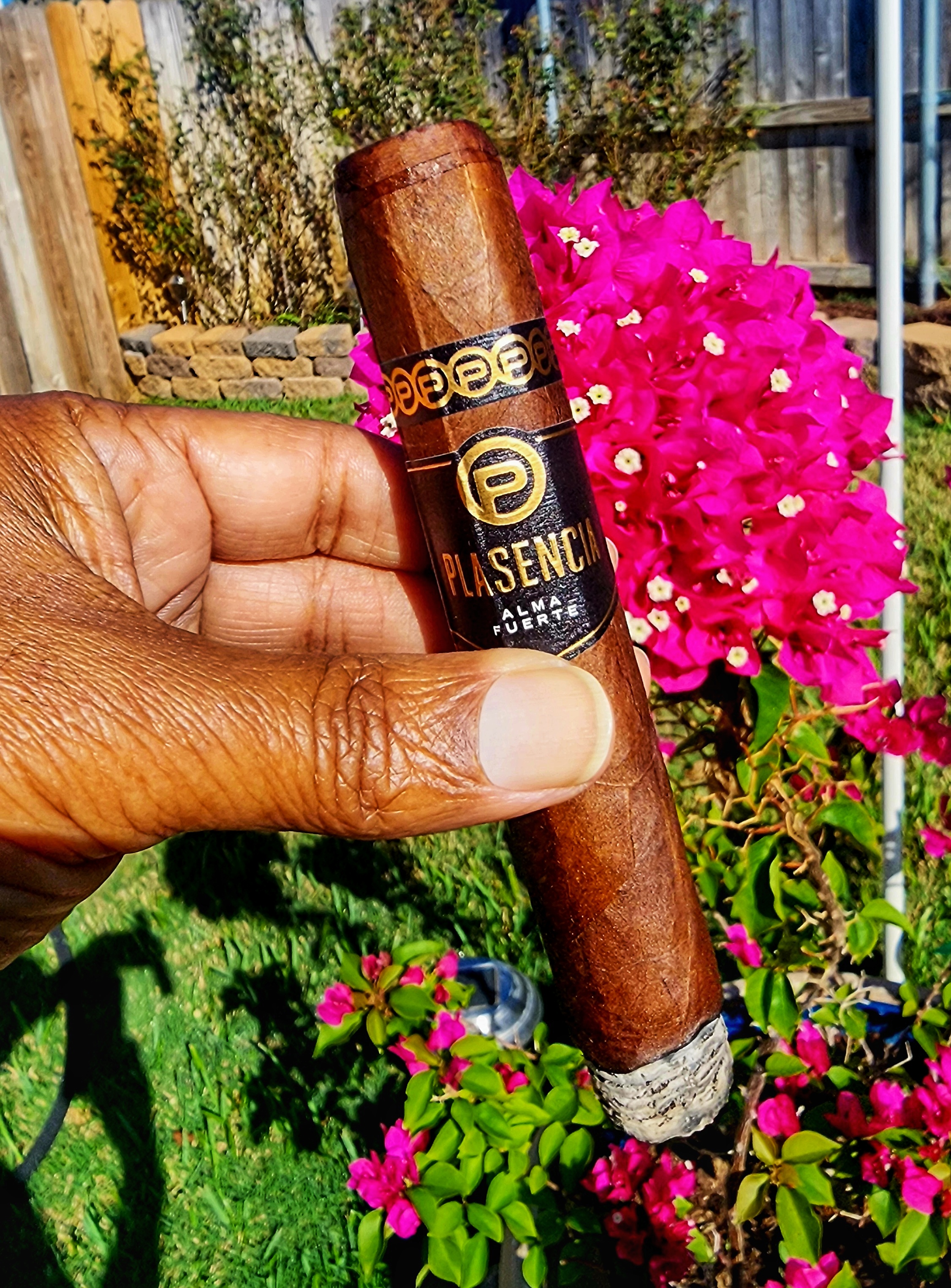 Plasencia Alma Fuerte Sixto II Hexagon 6