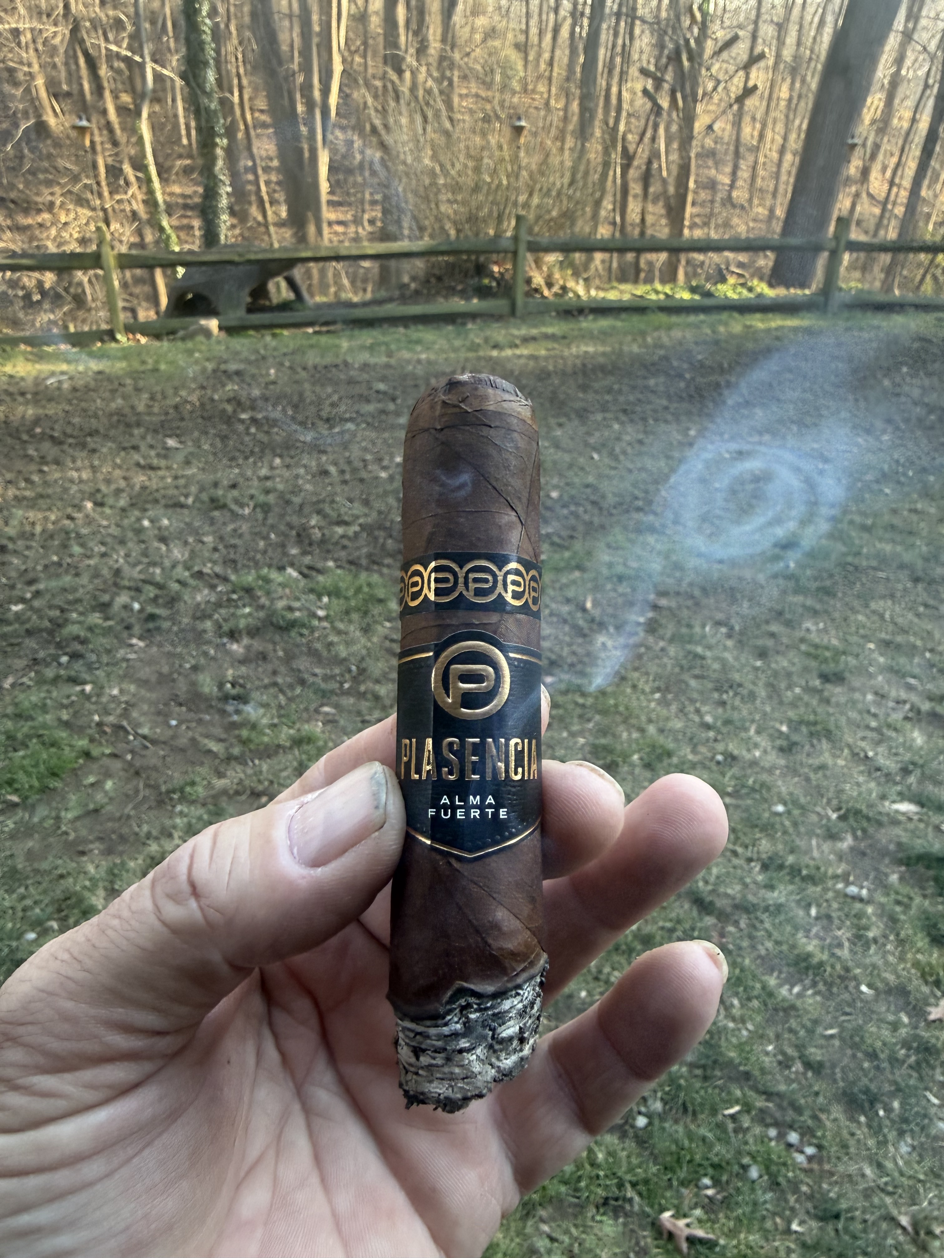 Plasencia Alma Fuerte Sixto II Hexagon 6