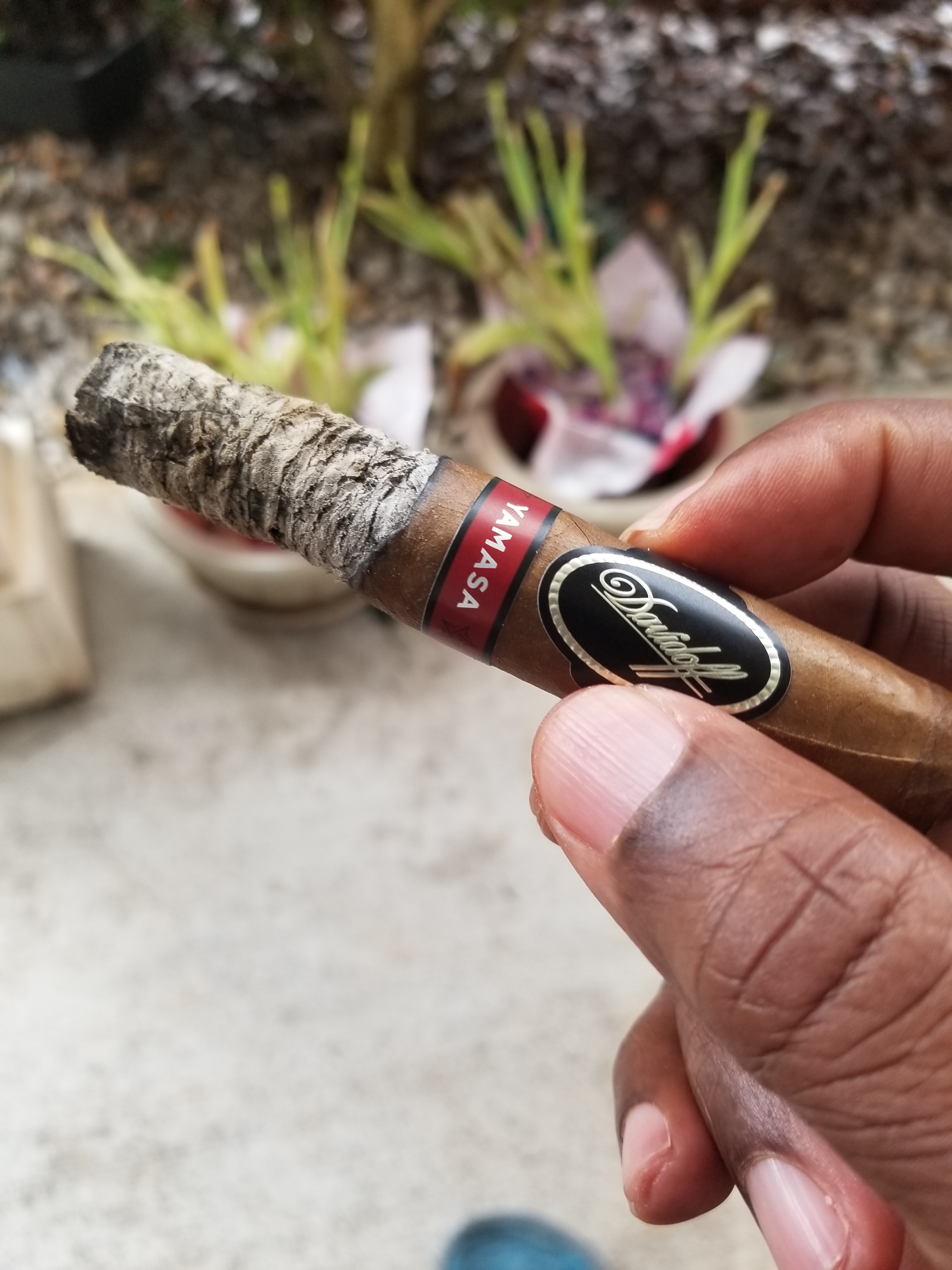 Davidoff Yamasa Toro 6