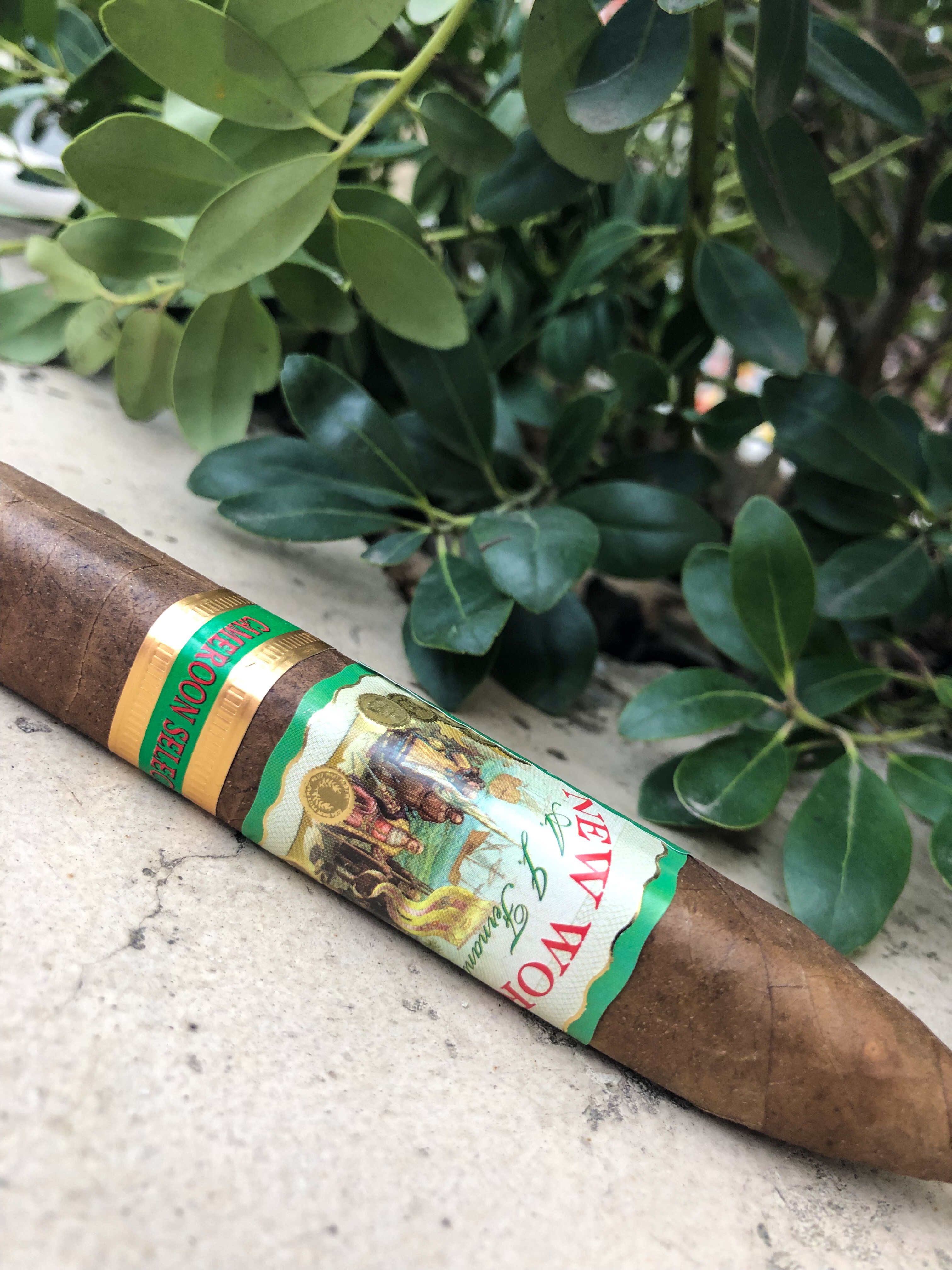 New World Cameroon Torpedo 6