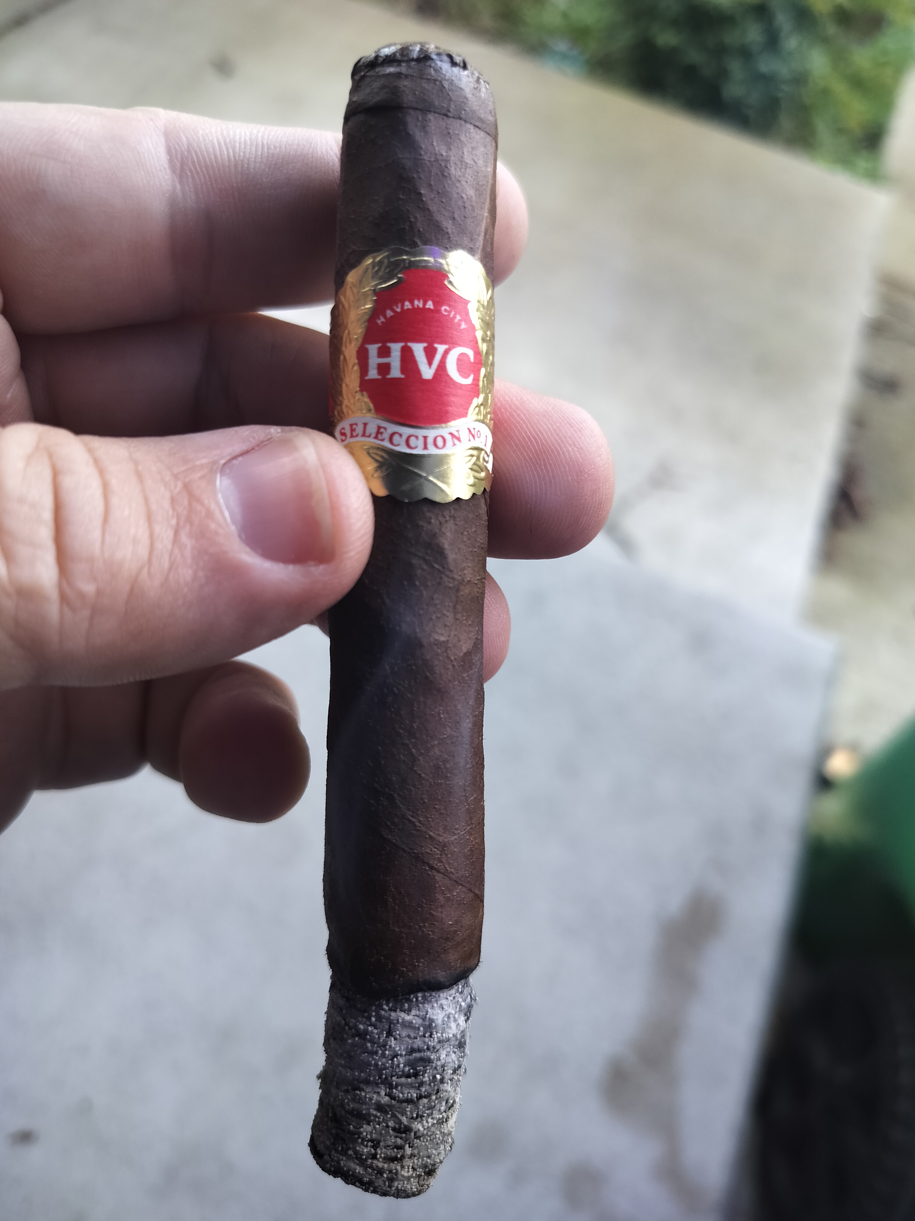 HVC Seleccion No.1 Maduro Esenciales 5
