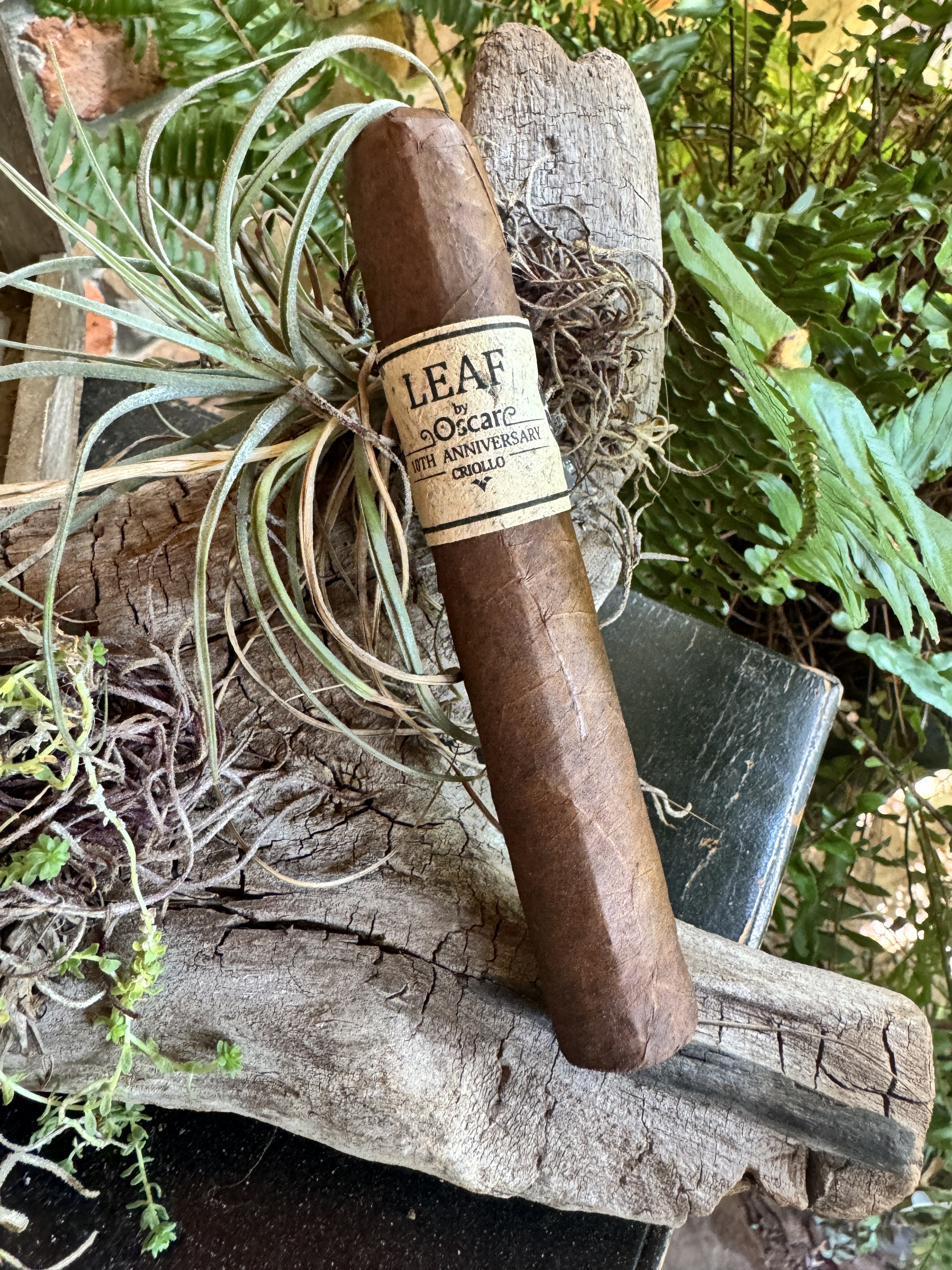 Leaf by Oscar 10th Anniversary Criollo Sixty 6 Leaf by Oscar 10th Anniversary Criollo Sixty 6