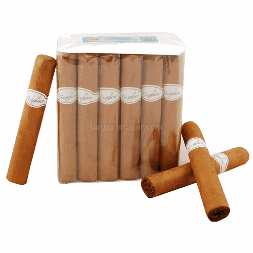 Neptune Naiade 5  * 50, Box of 24