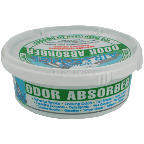 Air Sponge Odor Absorber