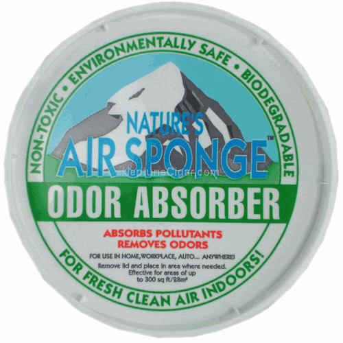 Air Sponge Odor Absorber