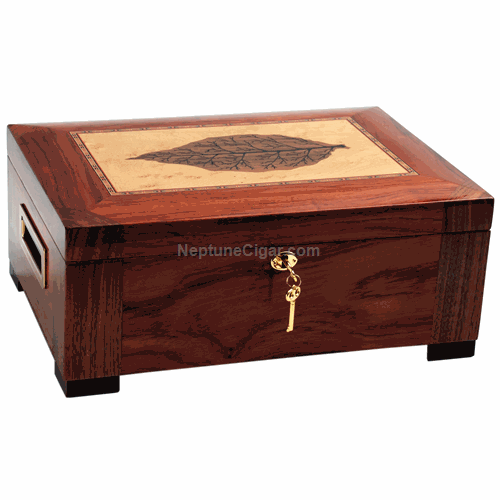 150-cigar Tobacco Leaf Humidor STSON