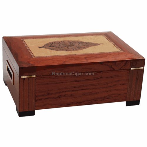 150-cigar Tobacco Leaf Humidor STSON