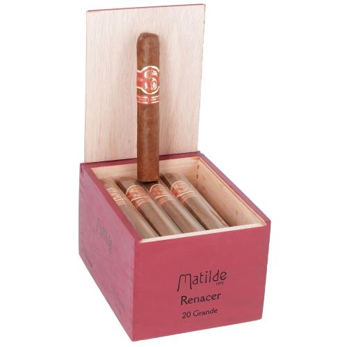 Matilde Renacer Grande 6  * 60, Box of 20