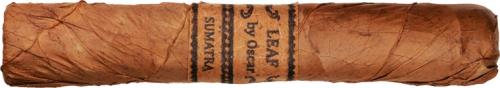 Leaf by Oscar Sumatra Sixty 6 * 60