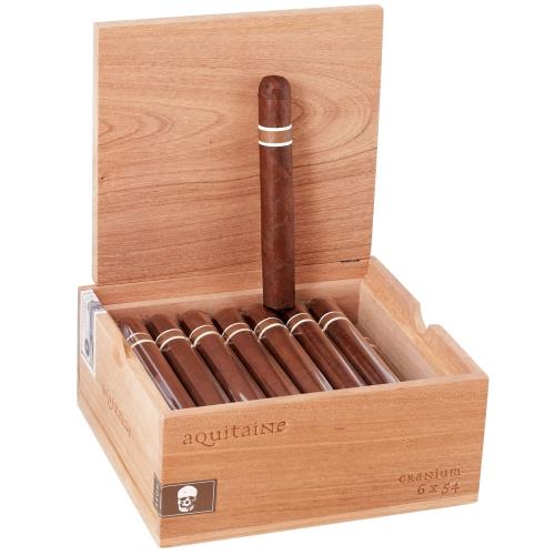 RoMa Craft CroMagnon Aquitaine Cranium 6  * 54