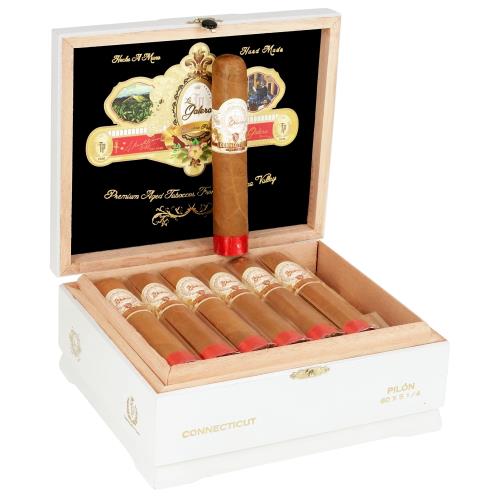 La Galera Connecticut Pilone Short Gordo 5 1/4 * 60