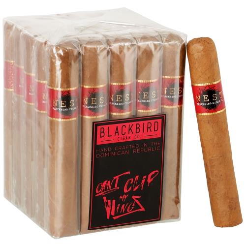 Blackbird Nest Connecticut Doble Toro 6  * 60