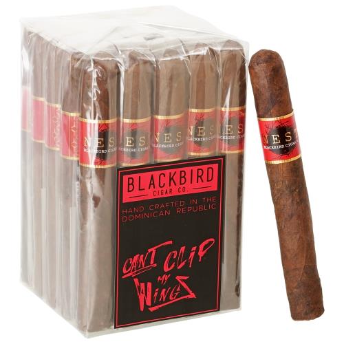 Blackbird Nest Maduro Toro 6  * 50, Bundle of 25