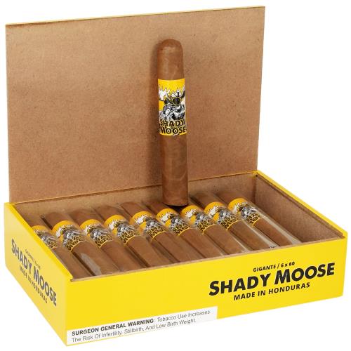Chillin  Moose Shady Moose Gigante 6  * 60, Box of 20