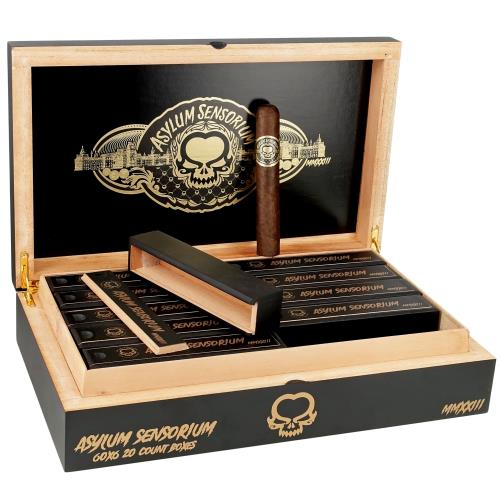 Asylum Sensorium 60x6 6  * 60