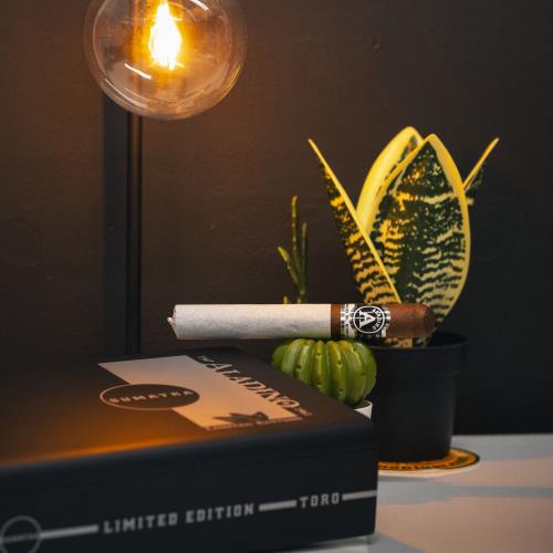 Aladino Sumatra Toro 6  * 52