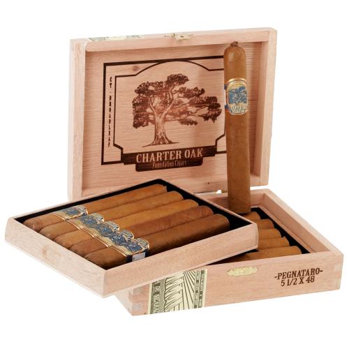 Foundation Charter Oak Pegnataro 5 1/2 * 48, Box of 12
